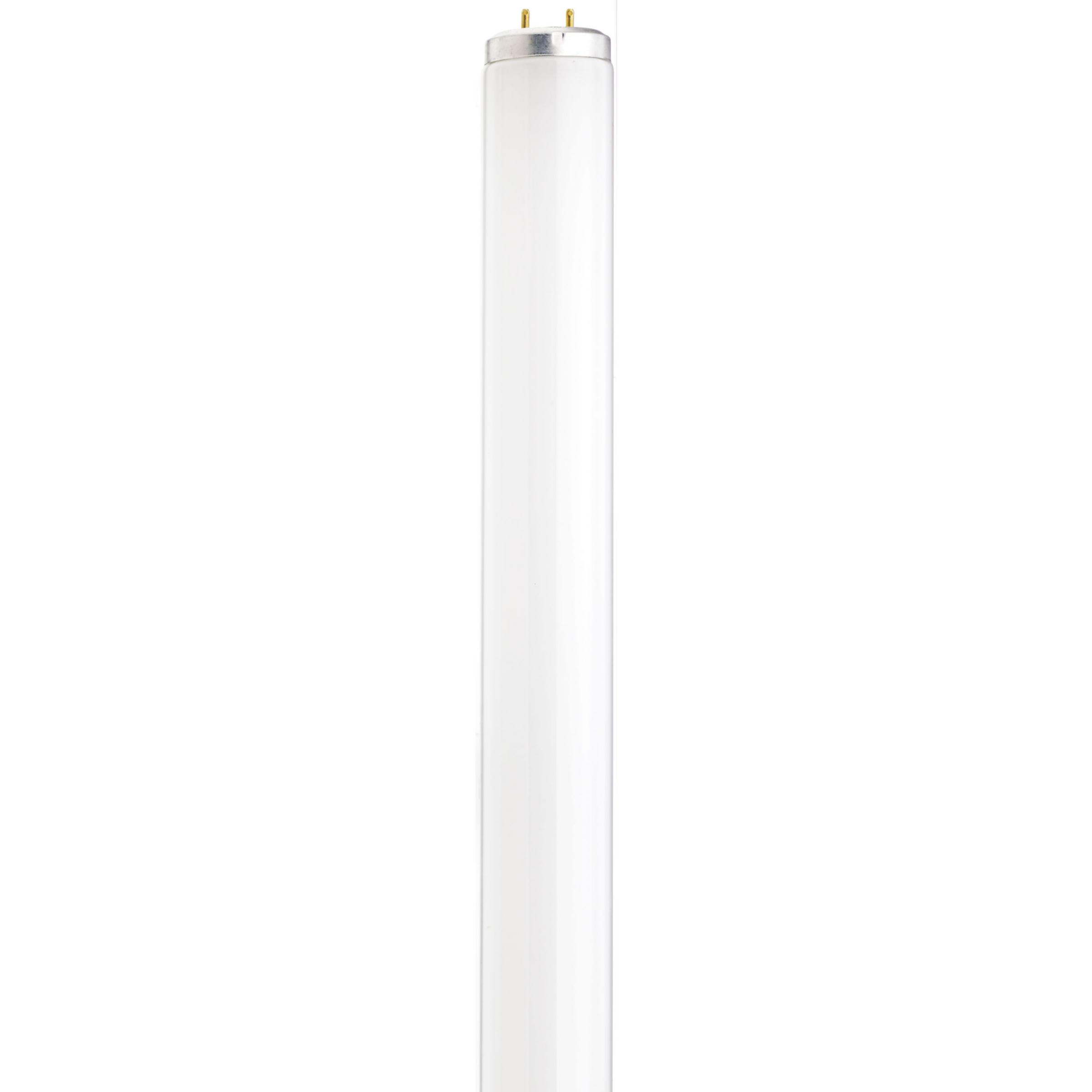 Product image for Satco S26568 25 Watt; 28 Inch T12; 4100K; Medium Bi-pin (G13) Base