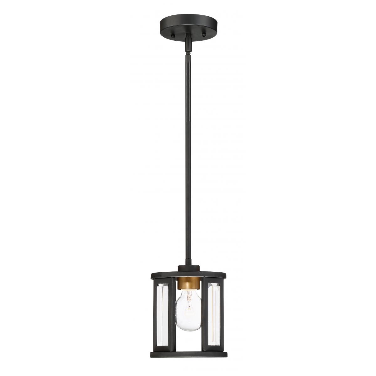 60-6412 PAYNE 1 LIGHT MINI PENDANT