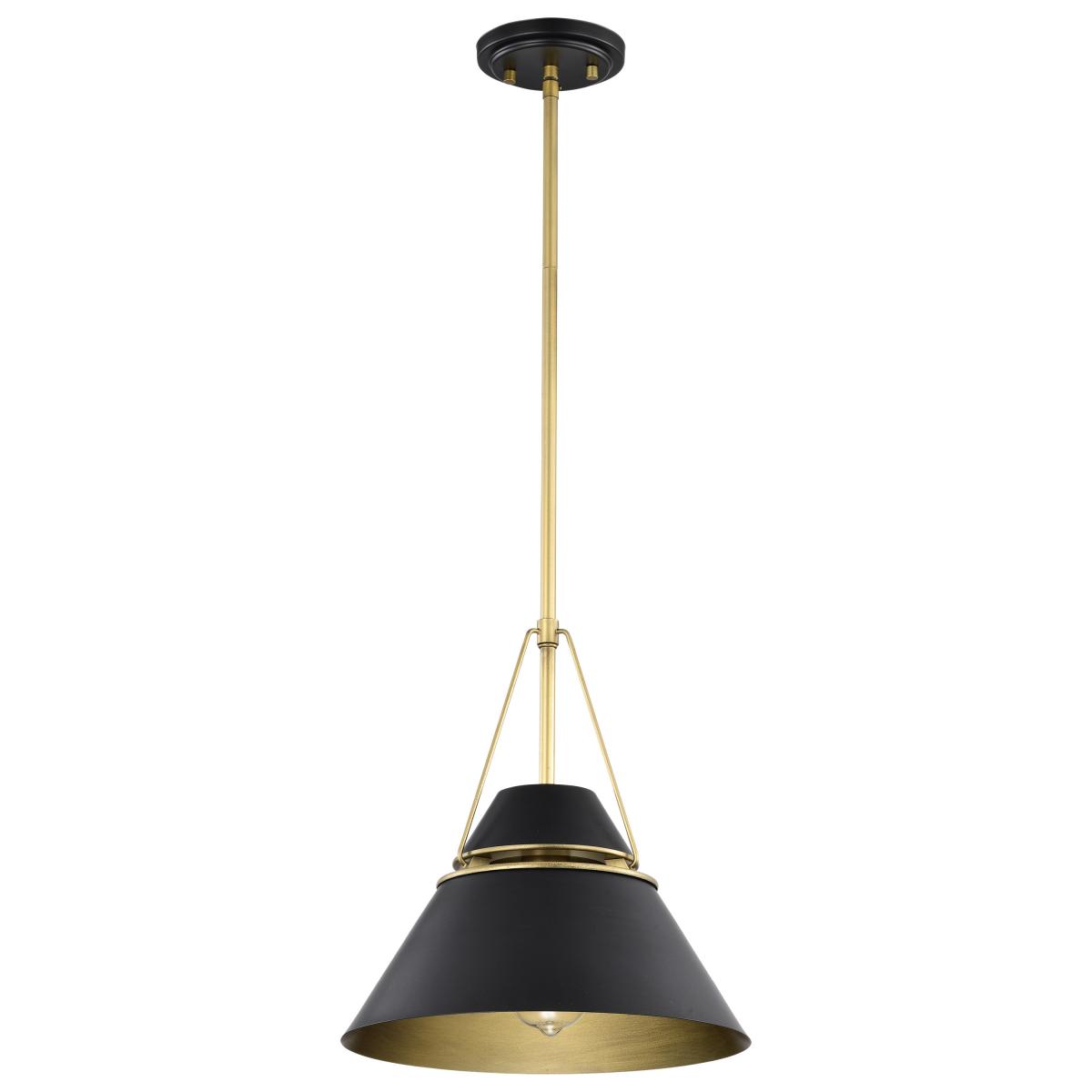 60-7766 ADINA 1 LIGHT MEDIUM PENDANT