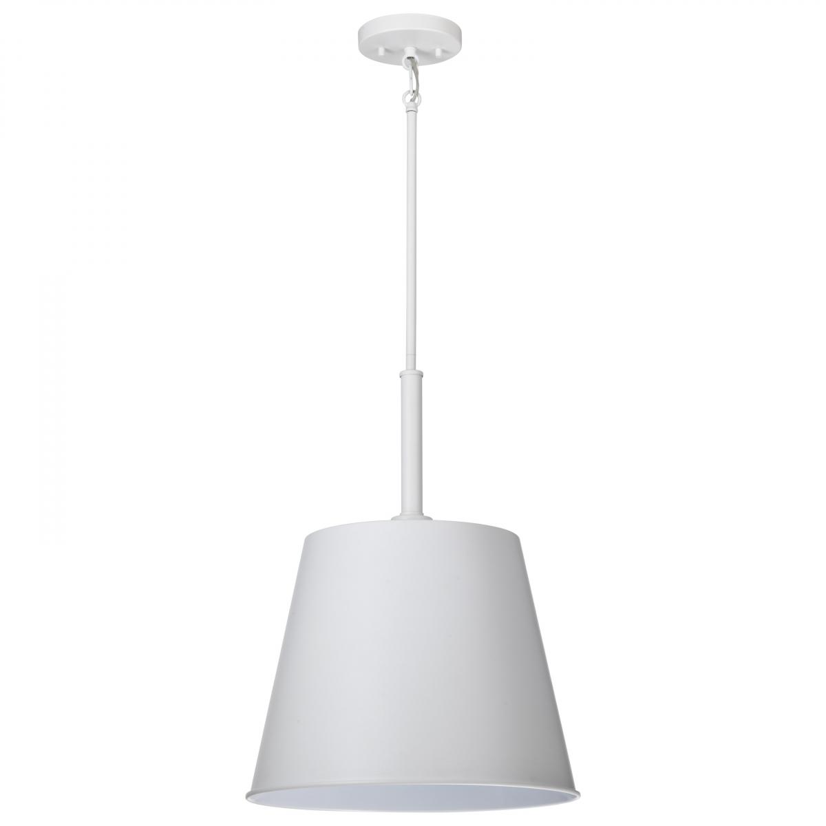 60-7948 ALEXIS 1LT LG PENDANT