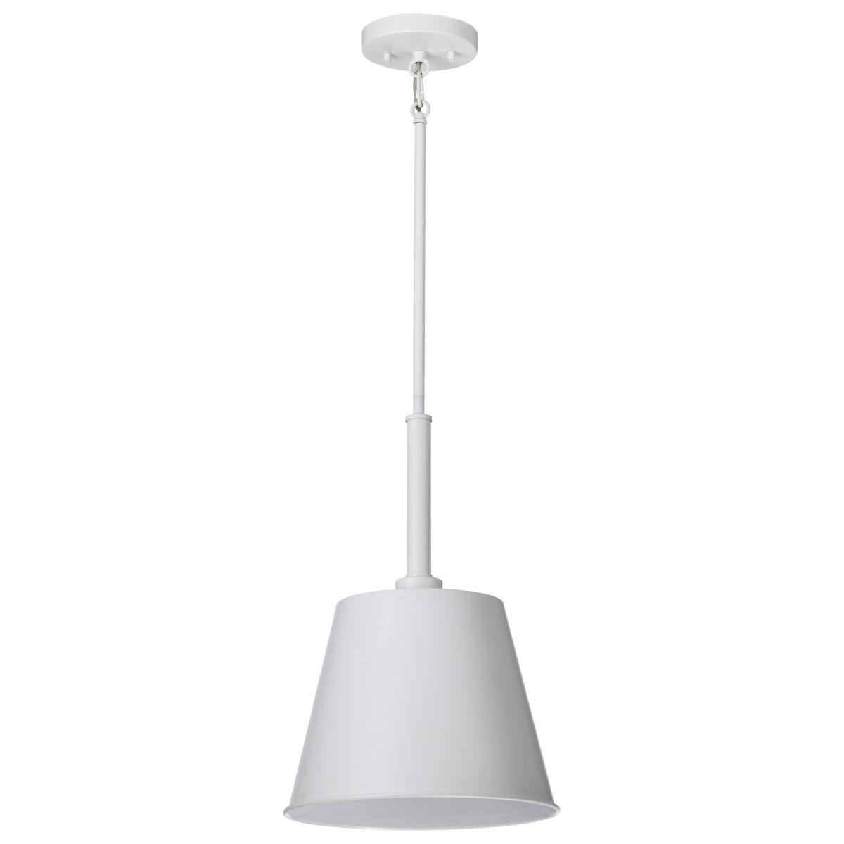 60-7949 ALEXIS 1LT SM PENDANT