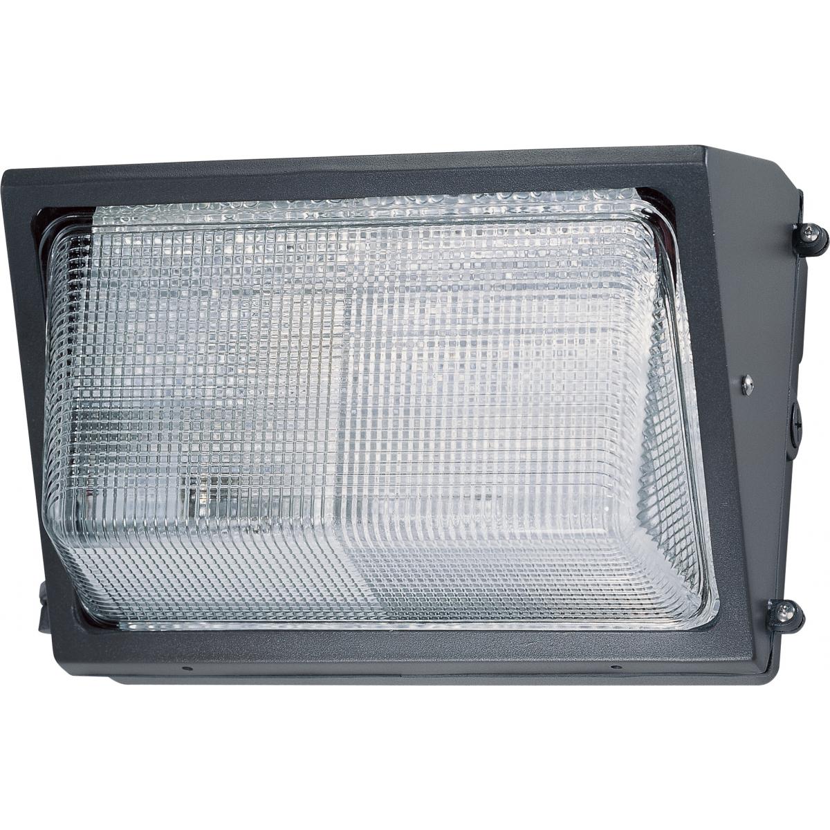 65-005R W/LAMP 150W HPS E26 SKT MT BAL