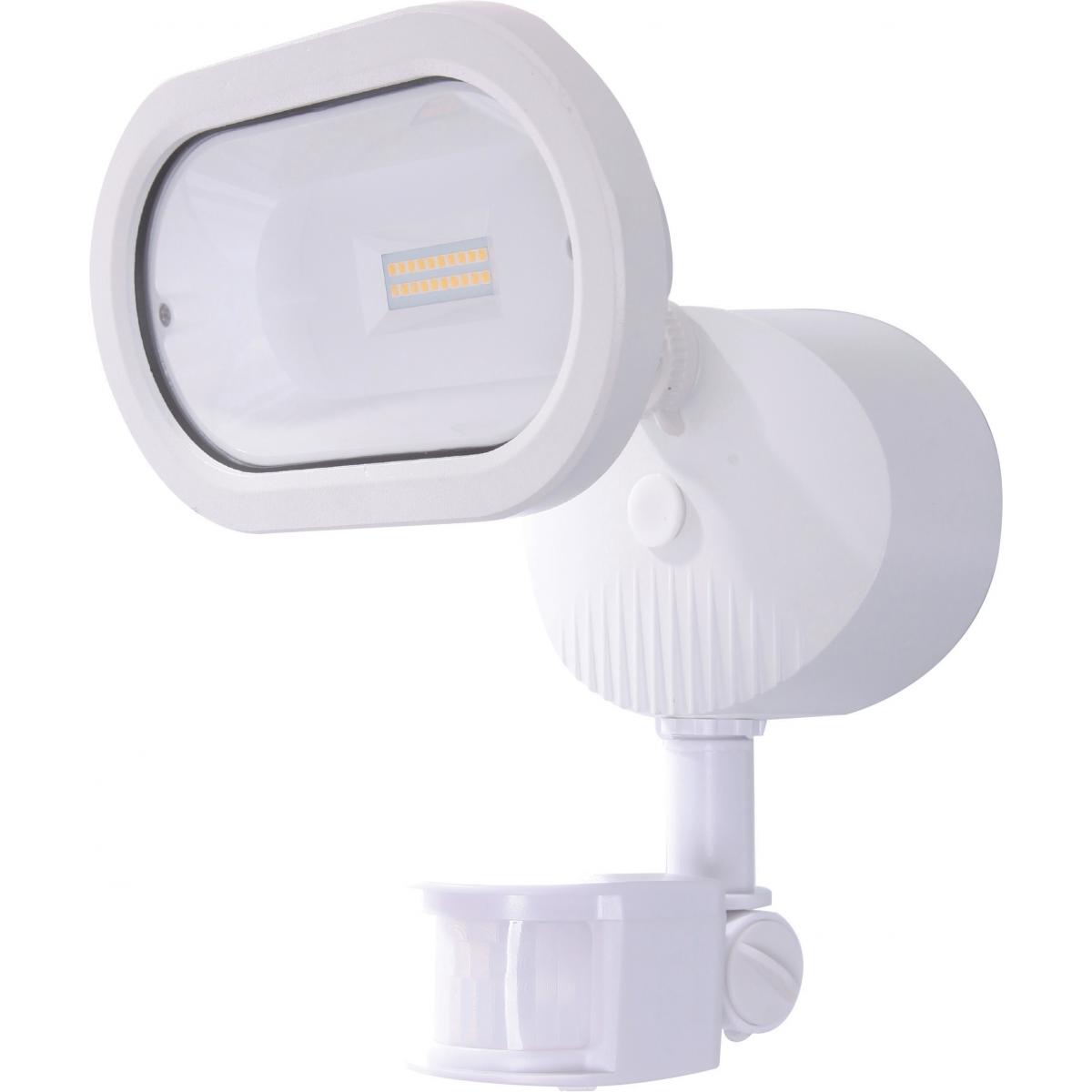 65-106 LED SINGLE HEAD SECURITY LT