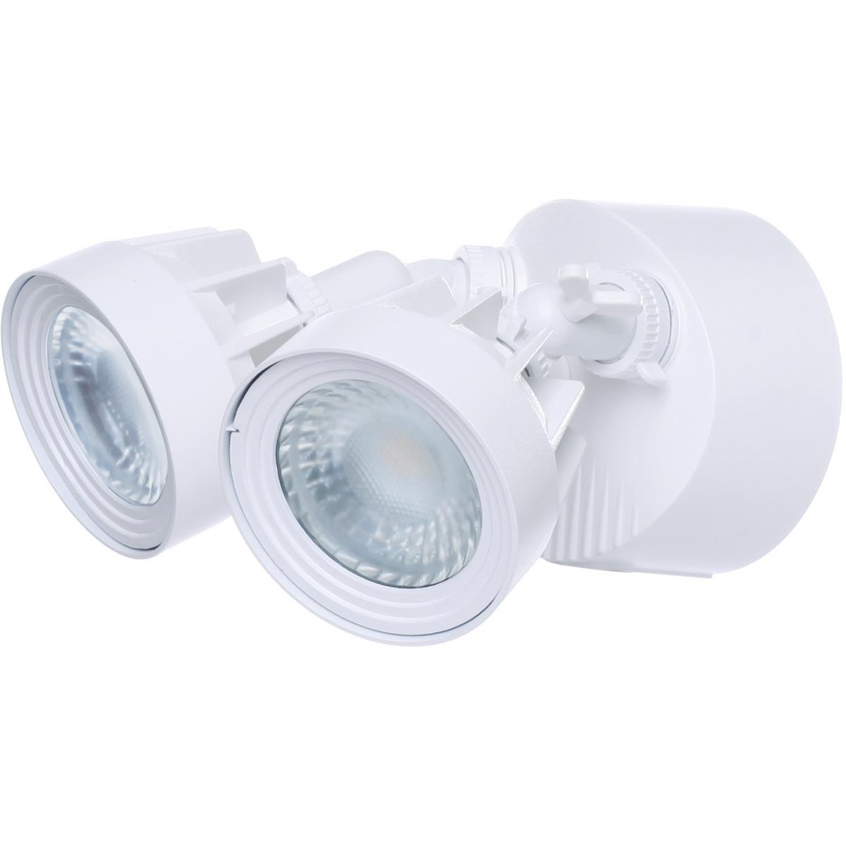 65-107 LED DUAL HEAD SECURITY LT