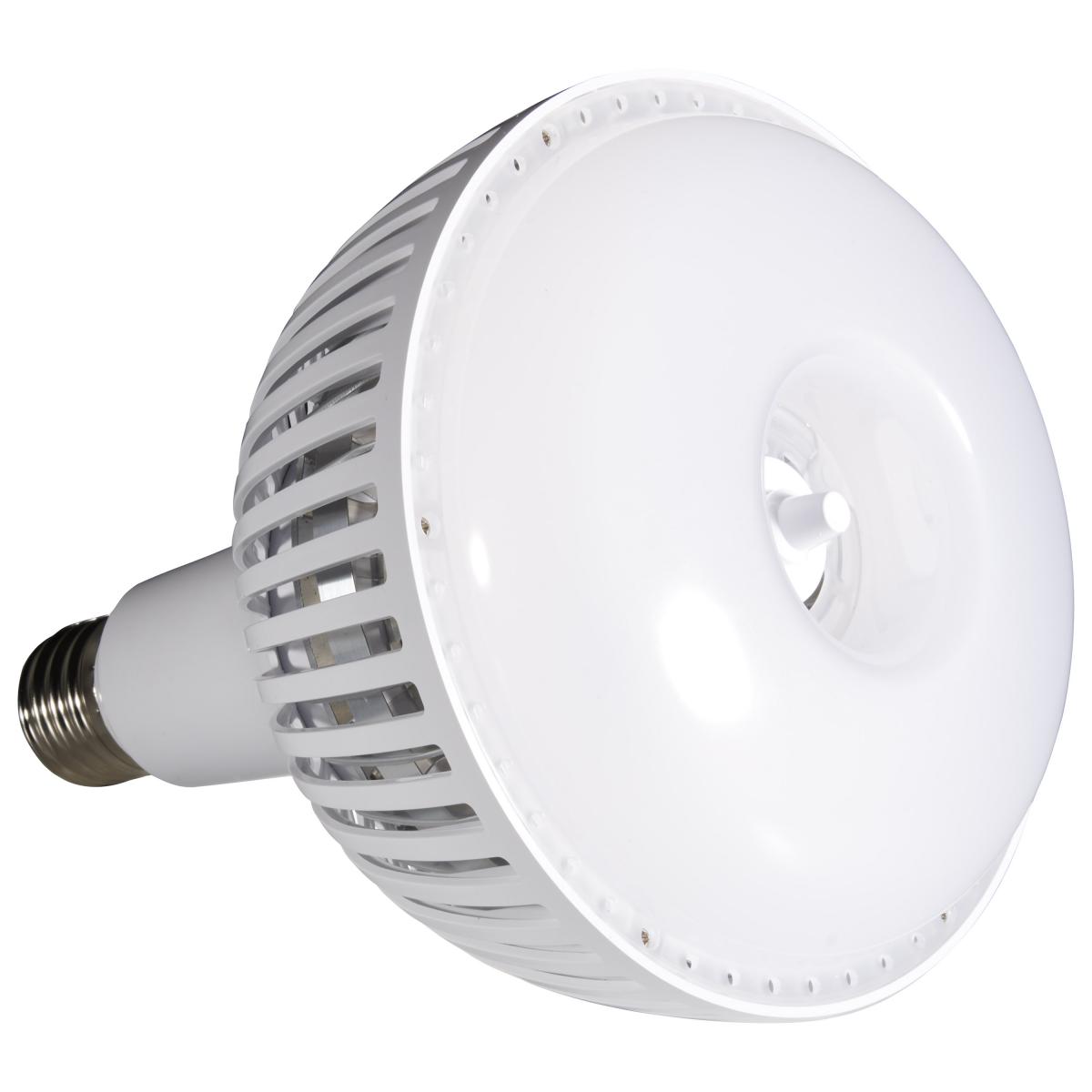 S23113 80W/LED/HID-HB/5K/120-277V
