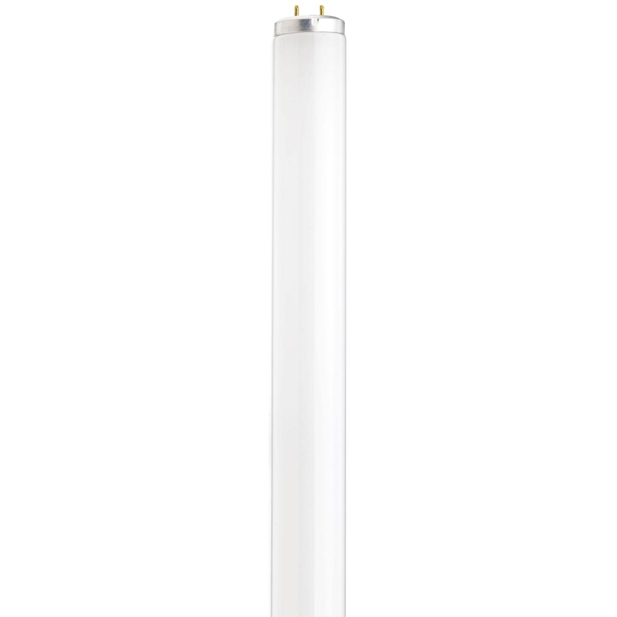 F14t12 fluorescent outlet bulb