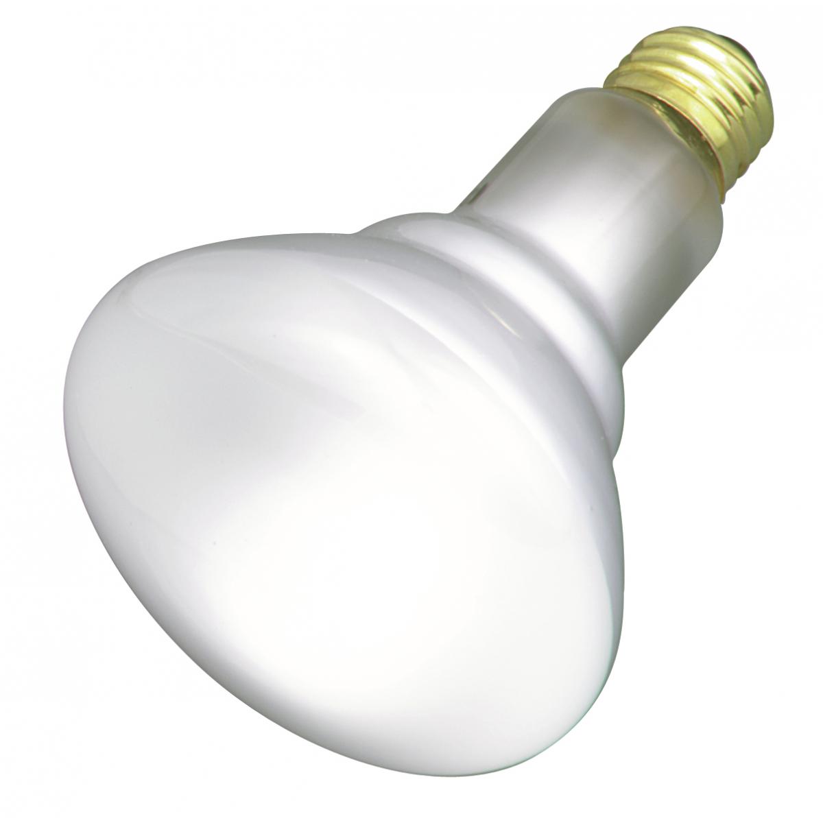 S2808 65BR30 FLOOD 120V.