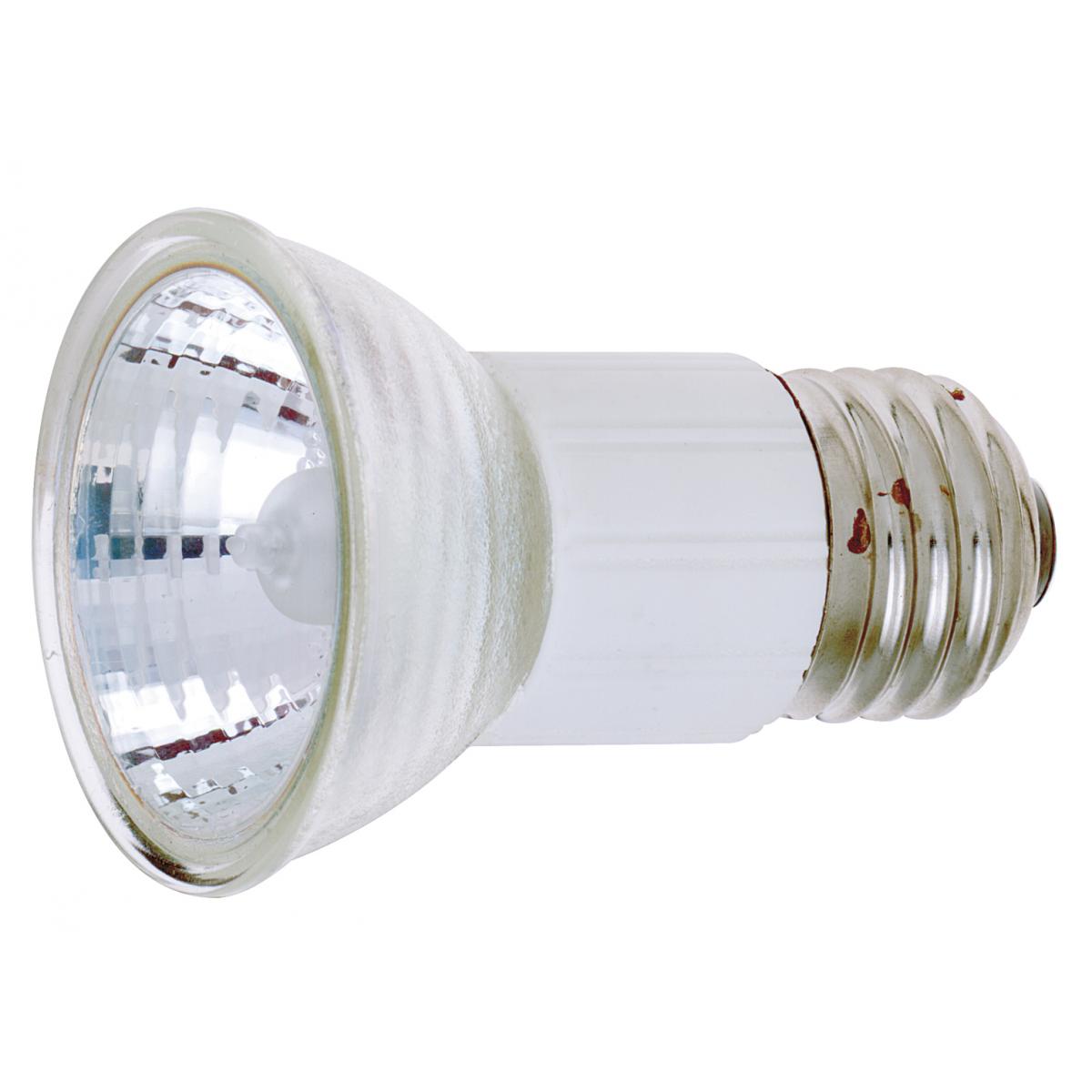 Satco Light Bulb - S3273