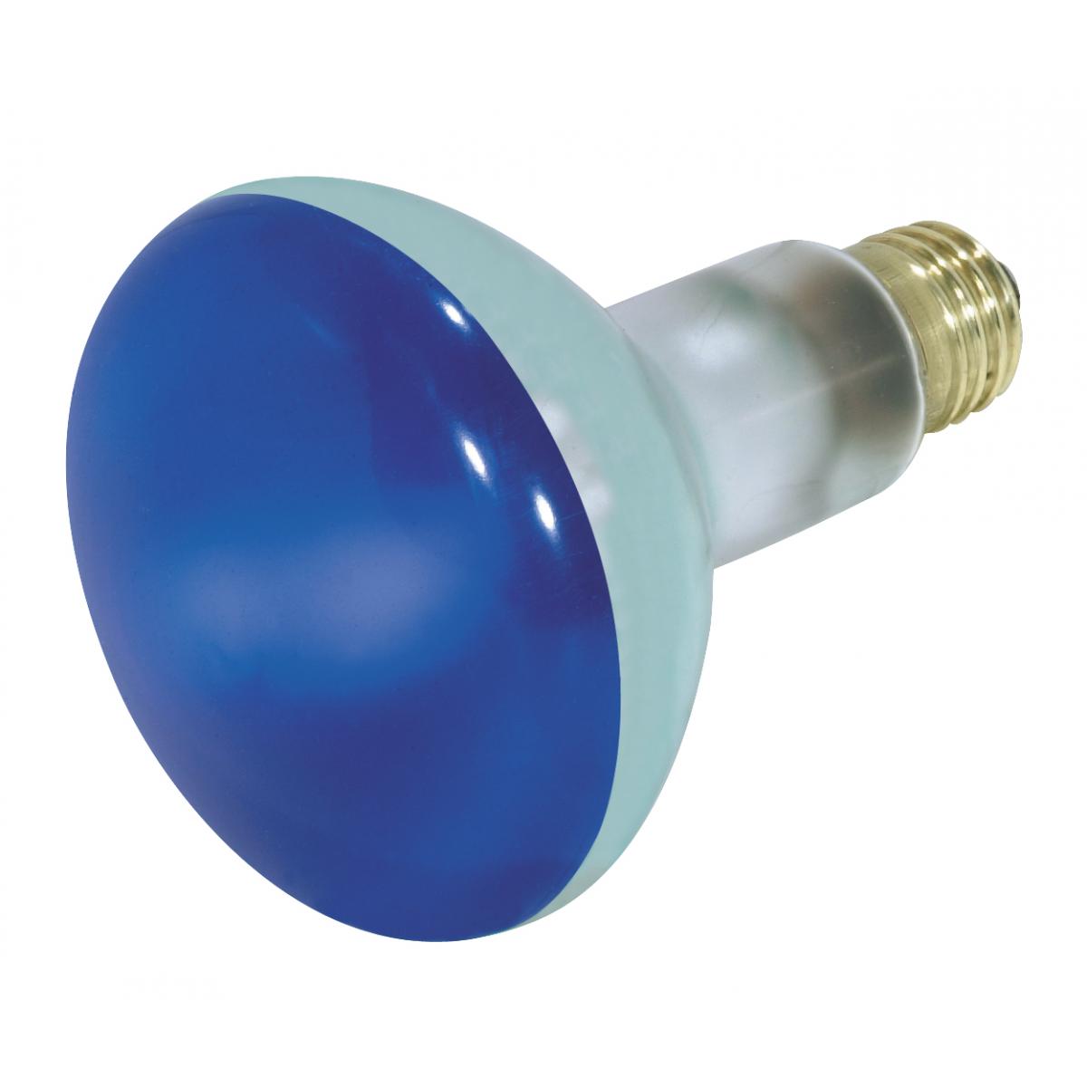 Satco Light Bulb - S3248