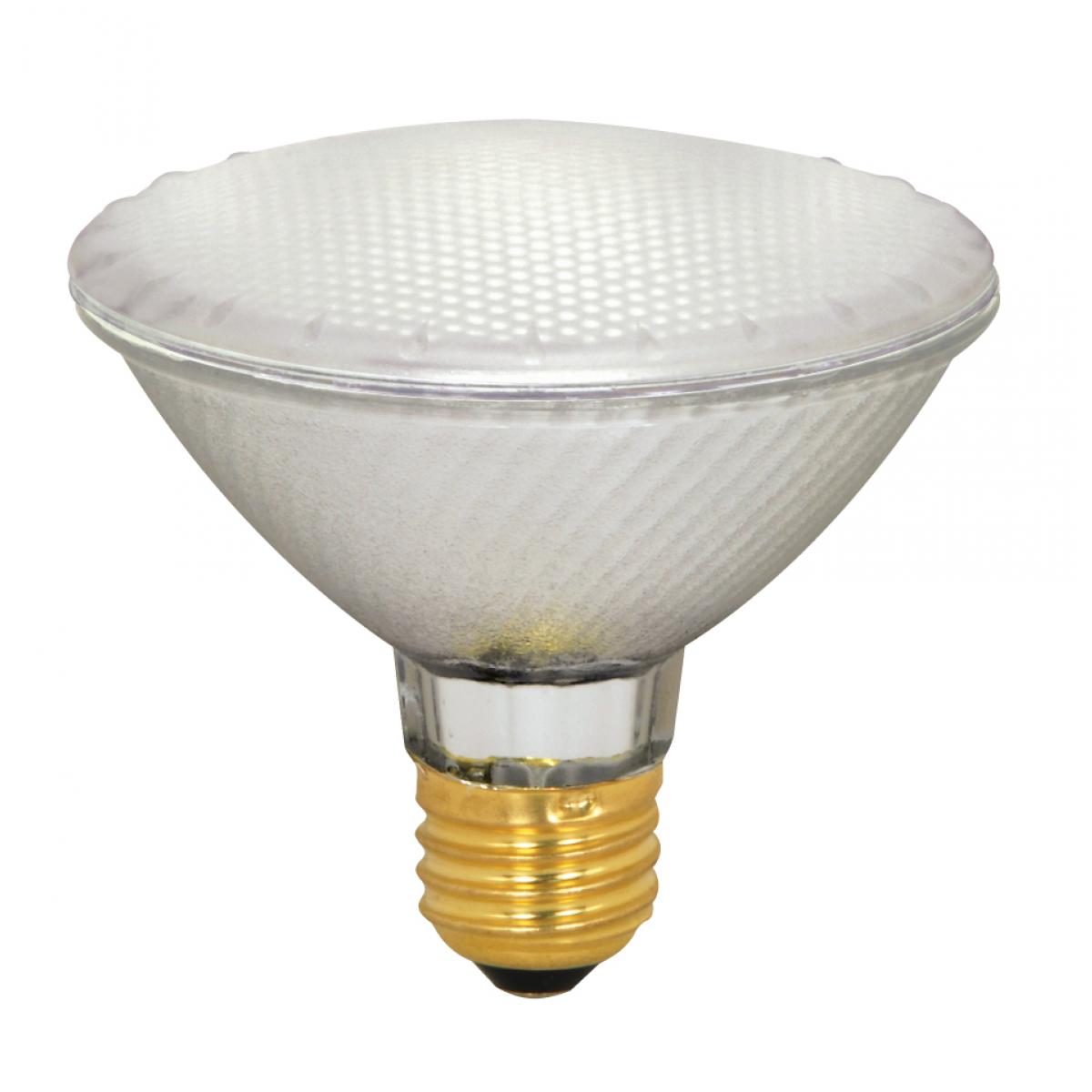 S4131 39PAR30/HAL/XEN/FL/FR/120V