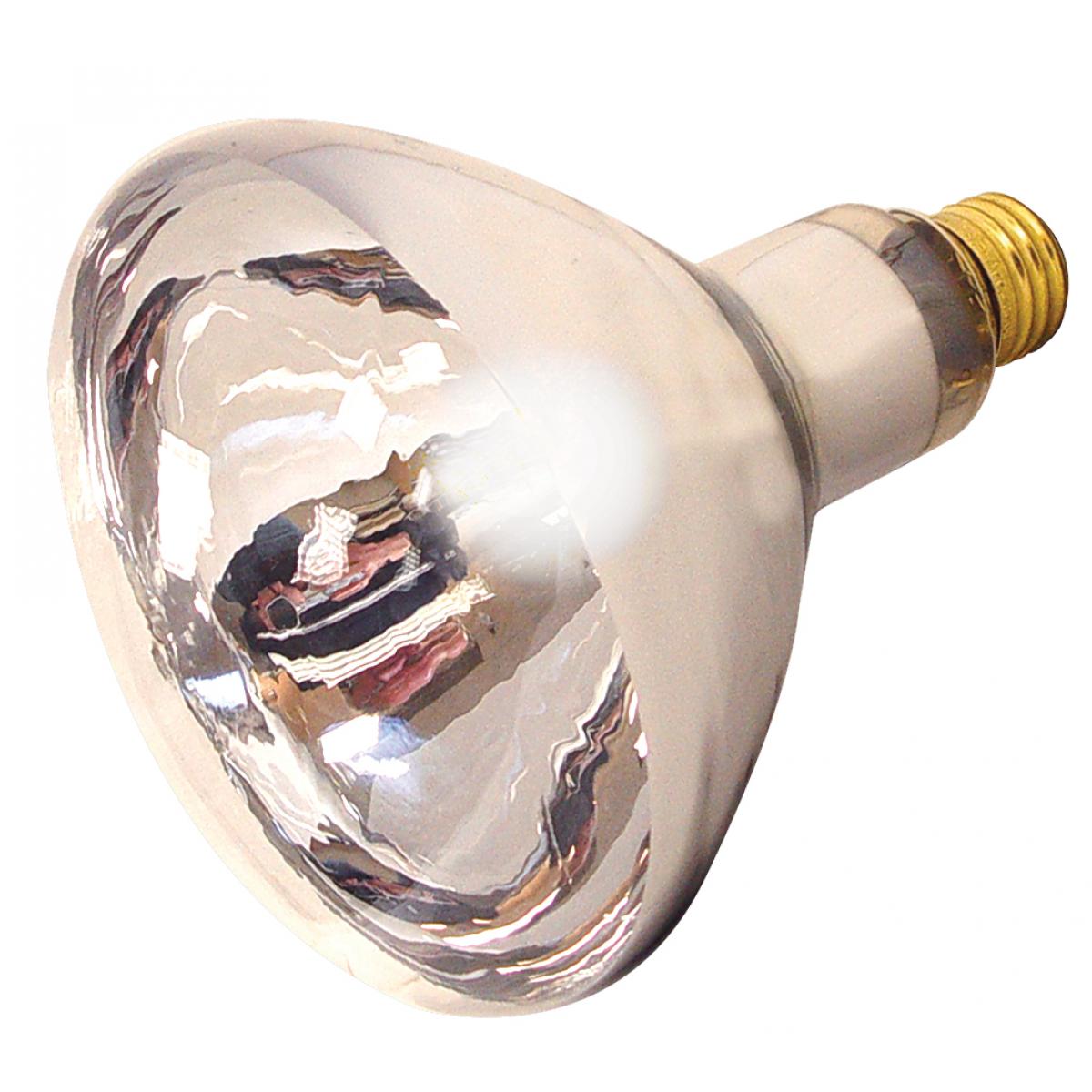 S4756 125R40/1/CL/2PK HEAT LAMP