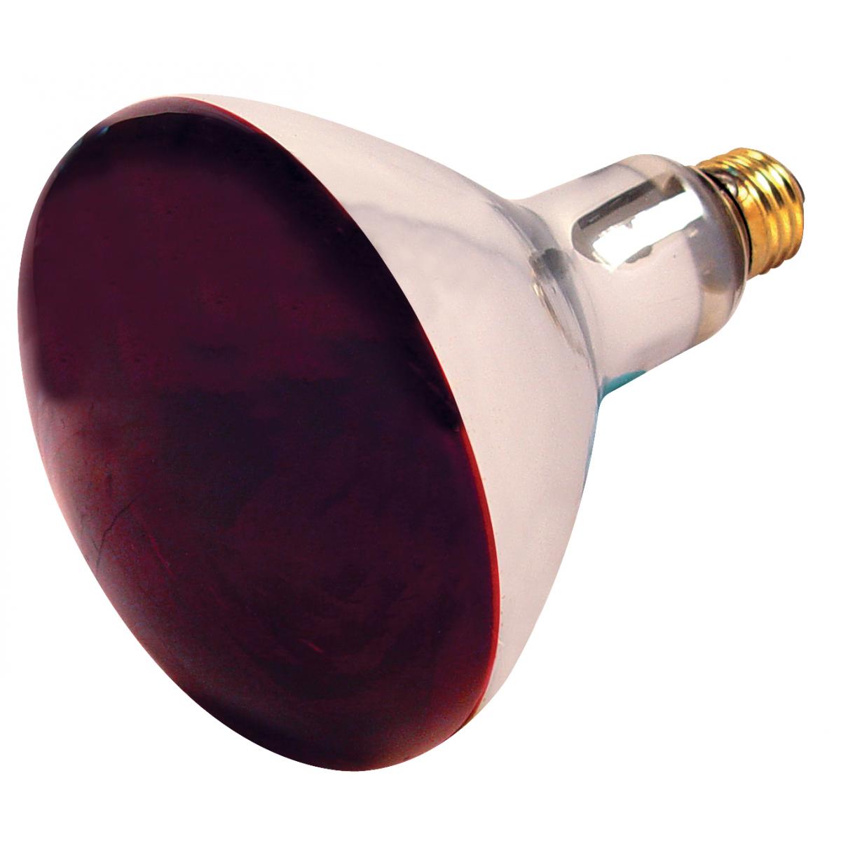 250 watt on sale heat bulb