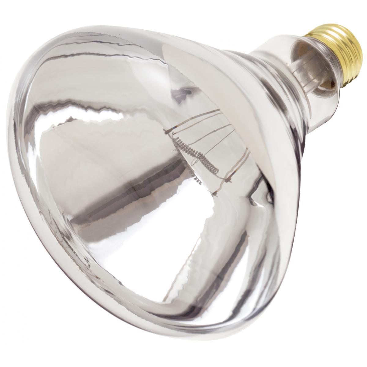 S4999 250R40/1 CLEAR HEAT LAMP