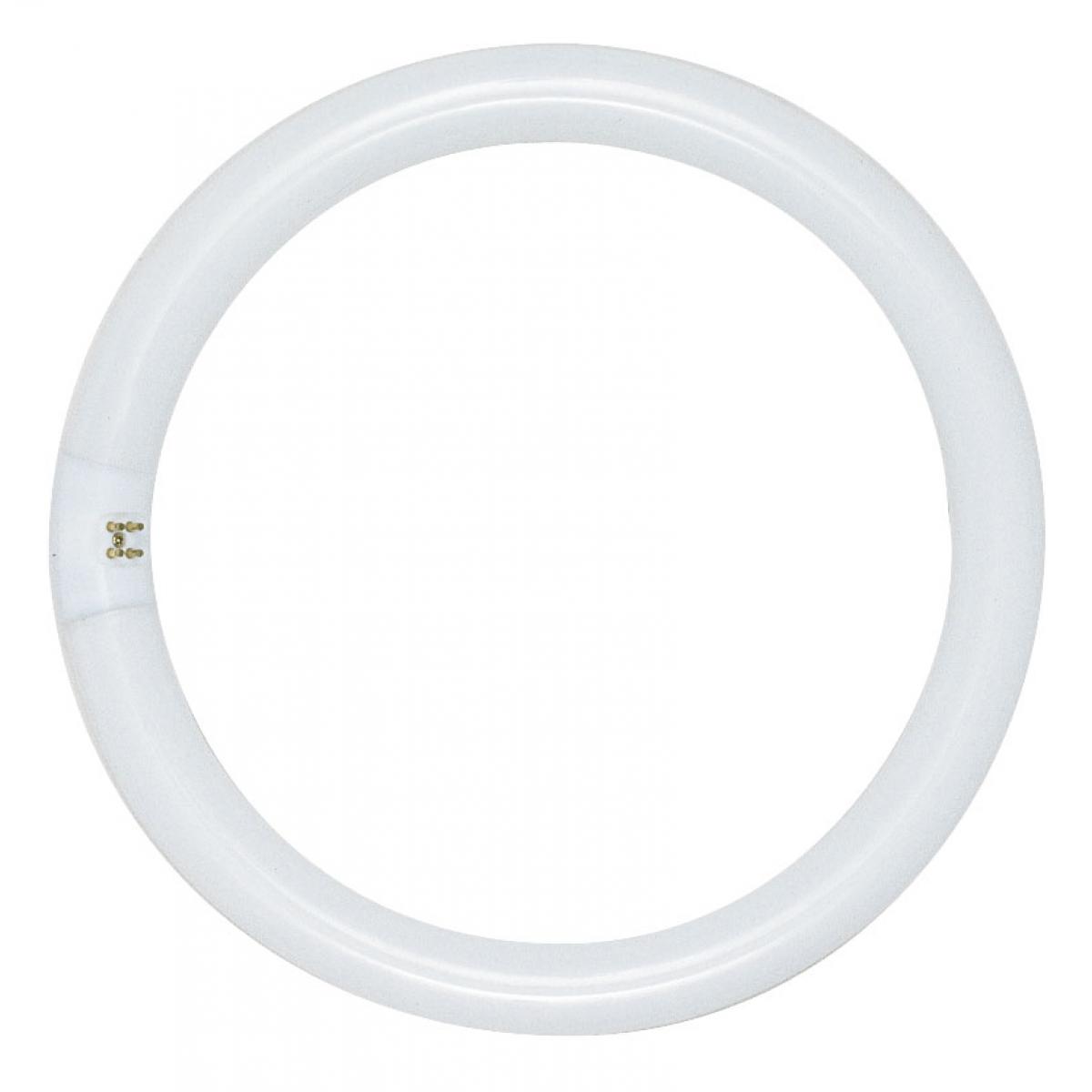 S6500 FC8T9/CW 22 WATT COOL WHITE