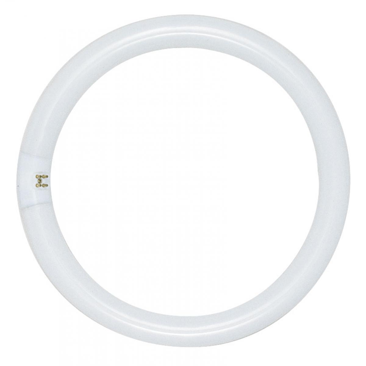 S6502 FC8T9/WW 22 WATT WARM WHITE