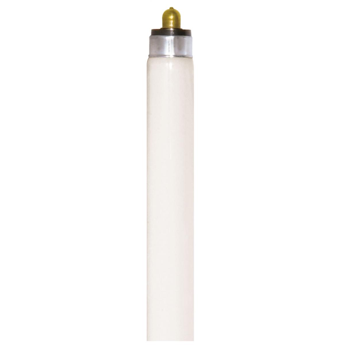 S6592 F64T6/CW/TF SHATTER PROOF