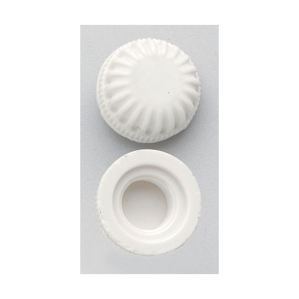 S70-582 2 WHITE PLASTIC LOCK UP CAPS