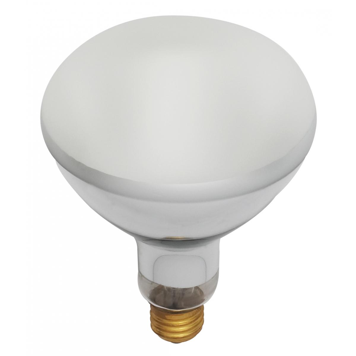 S7003 300BR40/FL/130V POOL LAMP