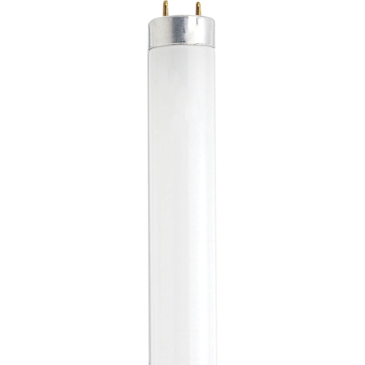 S7920 F13T8/CW 12IN 304MM
