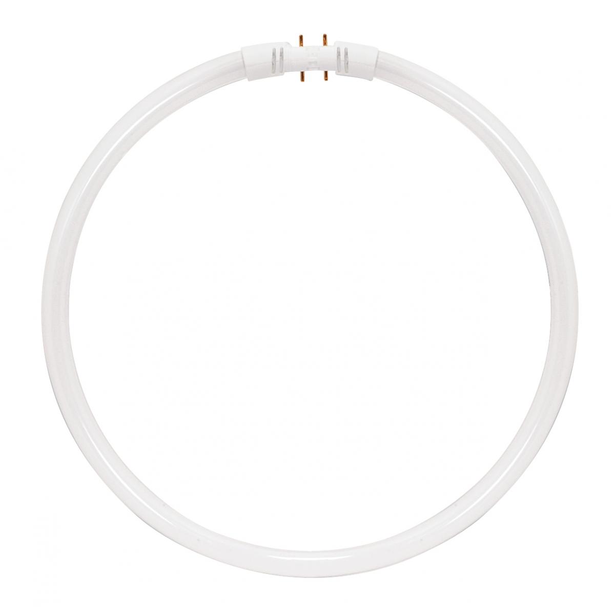 S8161 FC55T5/HO/830