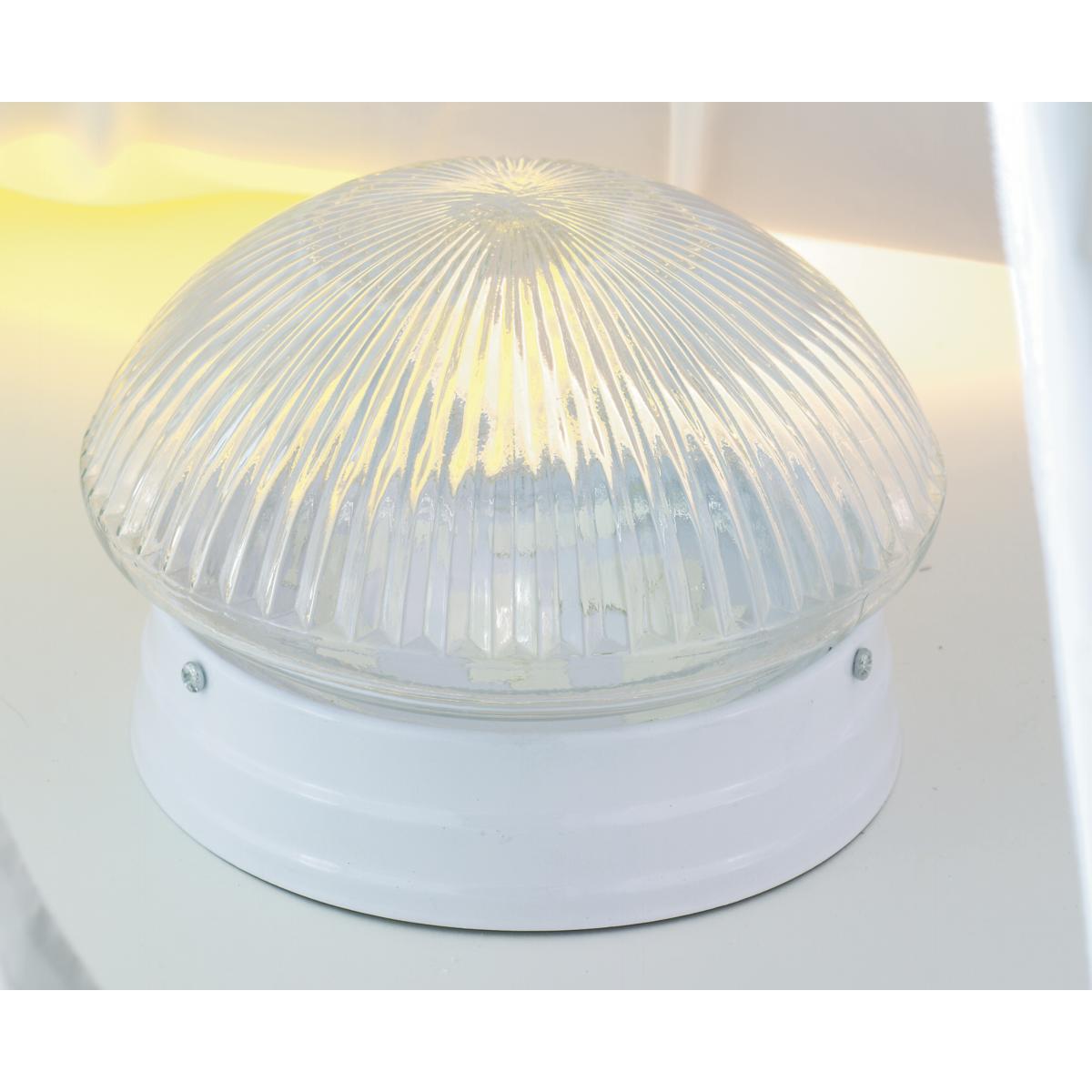 SF76-253 2 LIGHT 10
