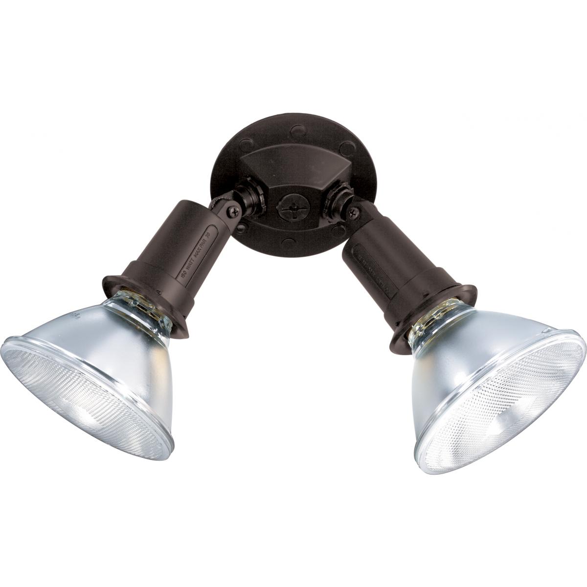 SF76-523 2 LIGHT PAR38 FLOODLIGHT