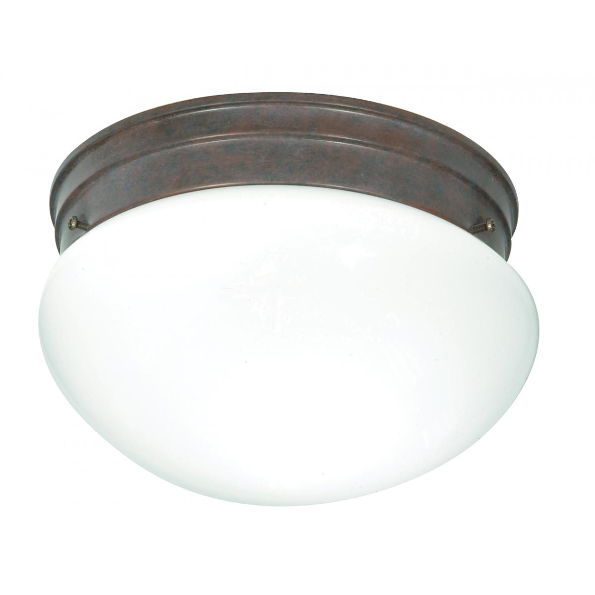 SF76-602 2 LIGHT 10