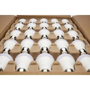 Satco|Nuvo S11448 Product Page